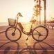 Електровелосипед X-Treme Tour 350 W 123456 фото 3
