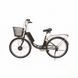 Електровелосипед X-Treme Tour 350 W 123456 фото 1